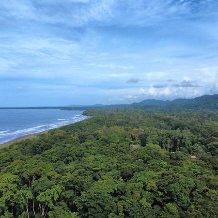 Wildlife Lodge Cahuita Dış mekan fotoğraf