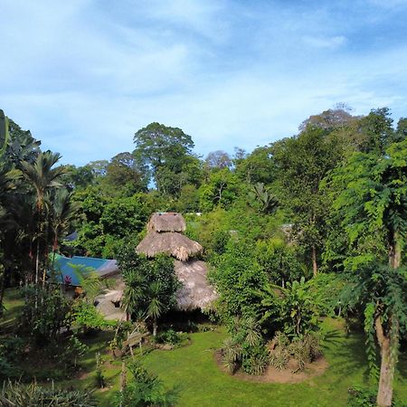 Wildlife Lodge Cahuita Dış mekan fotoğraf