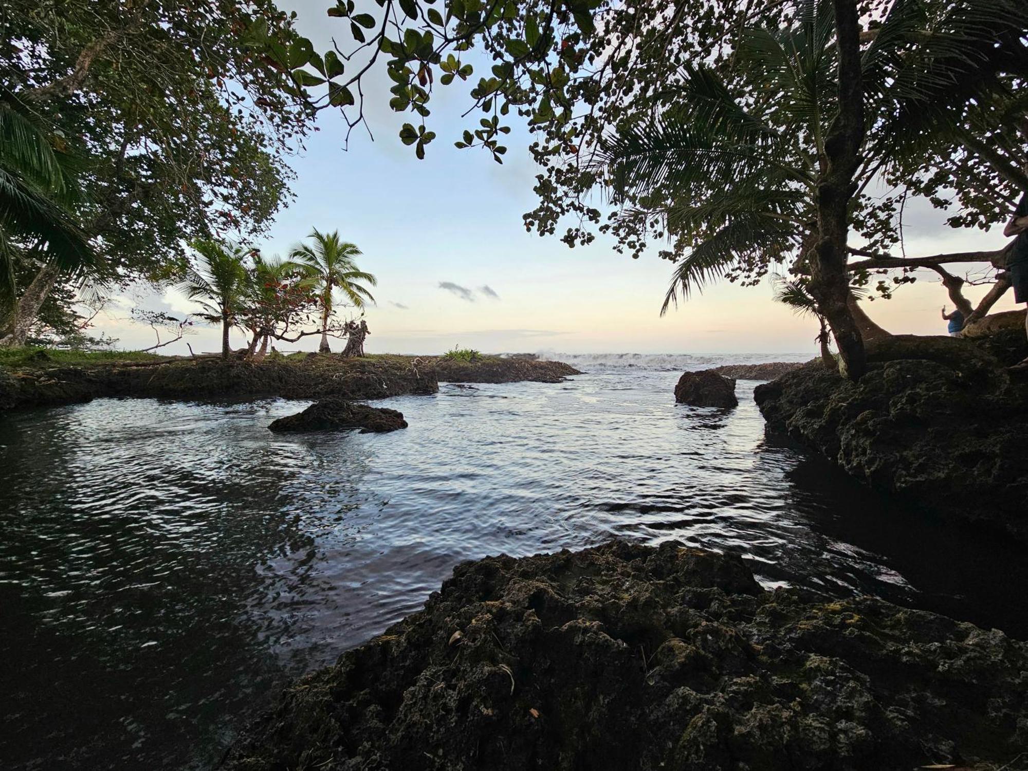 Wildlife Lodge Cahuita Dış mekan fotoğraf