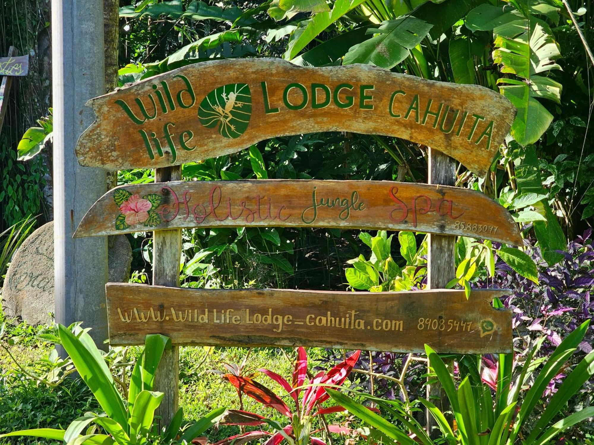 Wildlife Lodge Cahuita Dış mekan fotoğraf