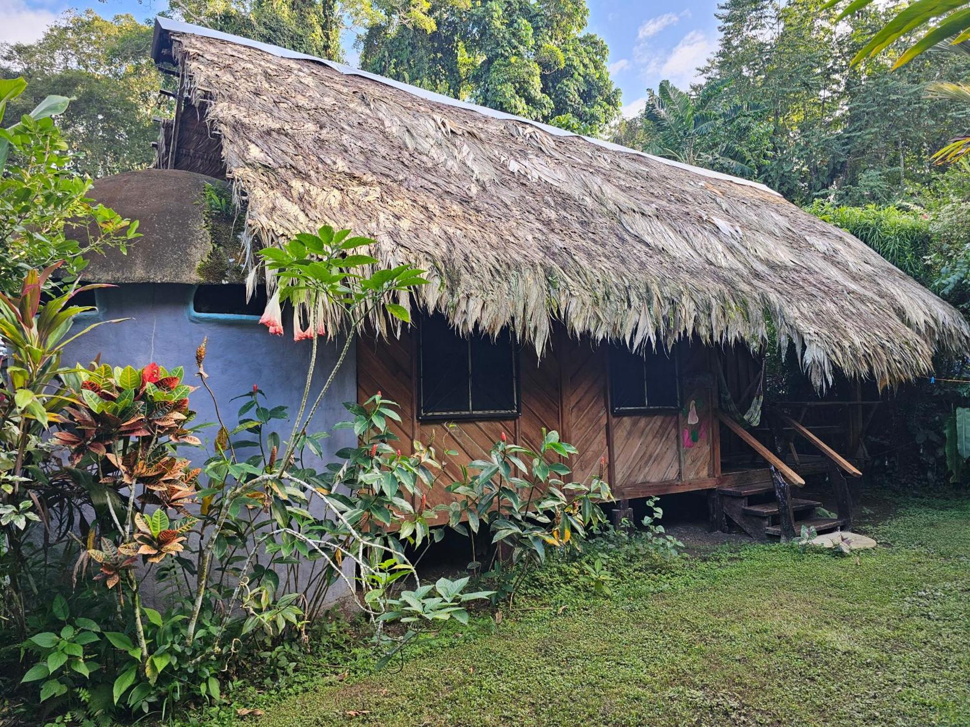 Wildlife Lodge Cahuita Dış mekan fotoğraf