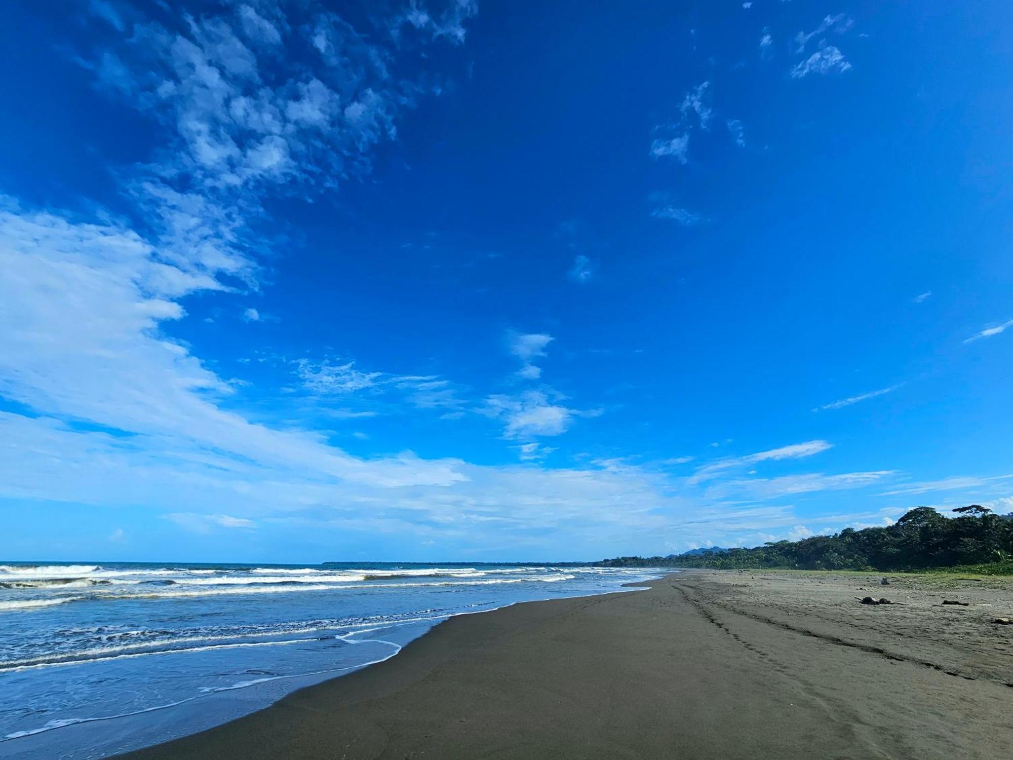 Wildlife Lodge Cahuita Dış mekan fotoğraf