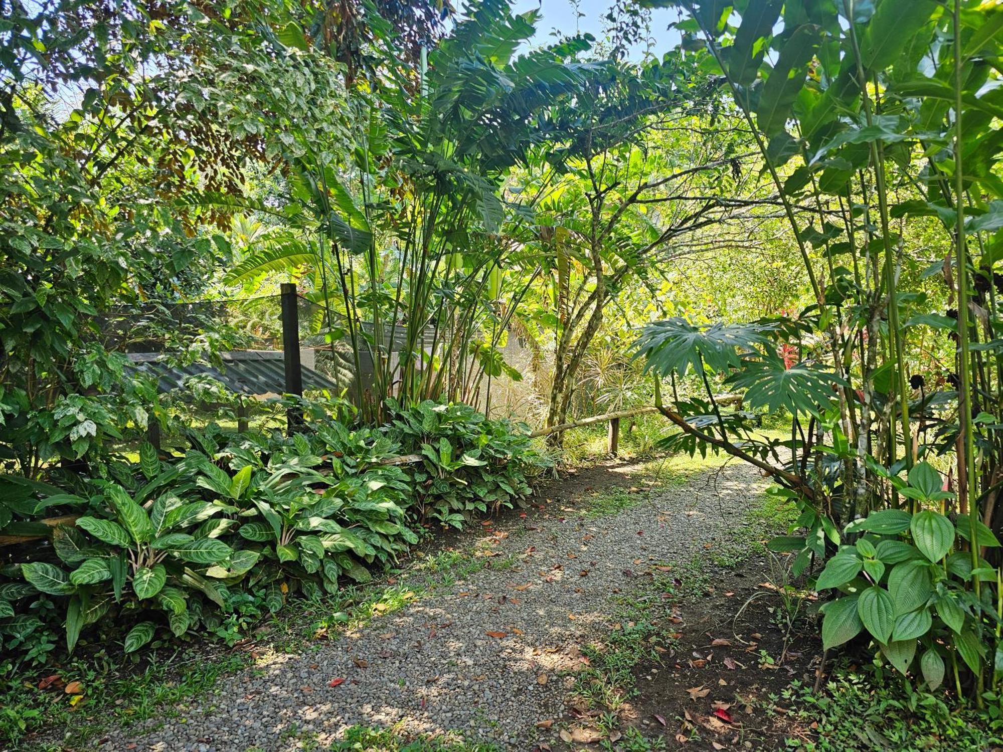 Wildlife Lodge Cahuita Dış mekan fotoğraf