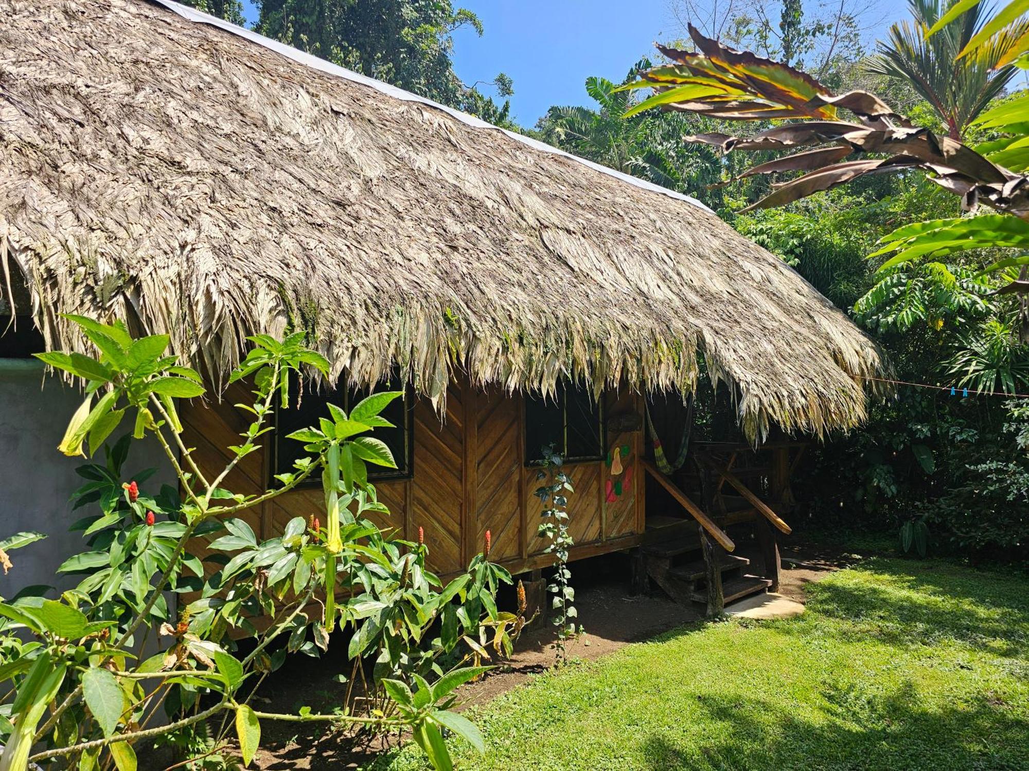 Wildlife Lodge Cahuita Dış mekan fotoğraf