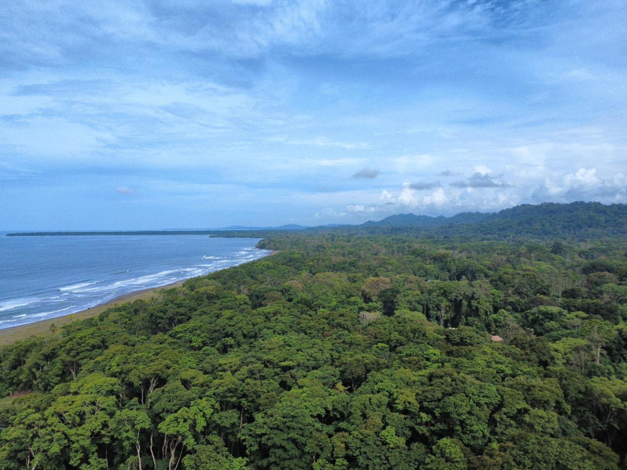 Wildlife Lodge Cahuita Dış mekan fotoğraf