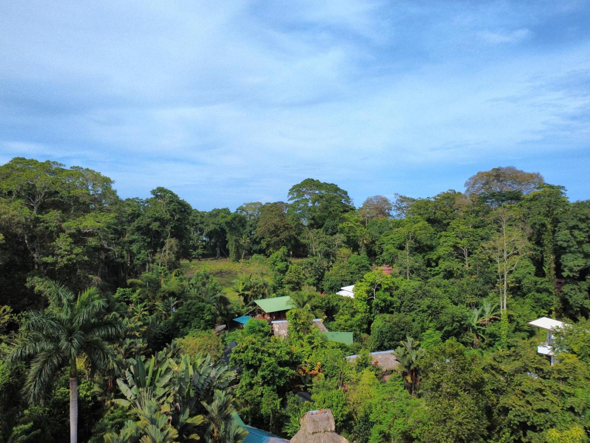 Wildlife Lodge Cahuita Dış mekan fotoğraf